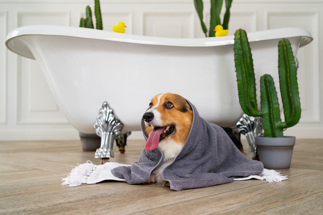 The Ultimate Guide to Choosing the Perfect Metal Dog Wash Tub for Your Furry Friend